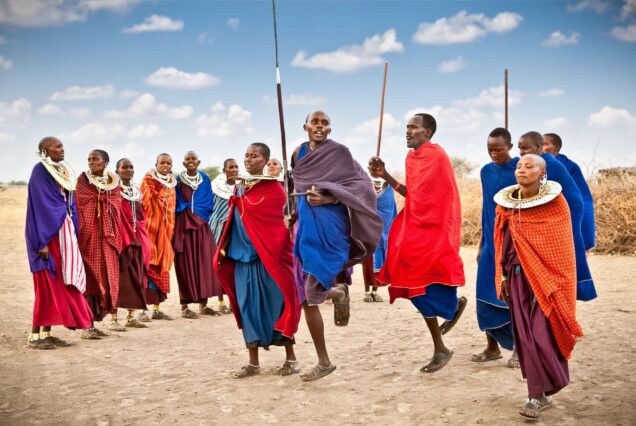 Culture safari