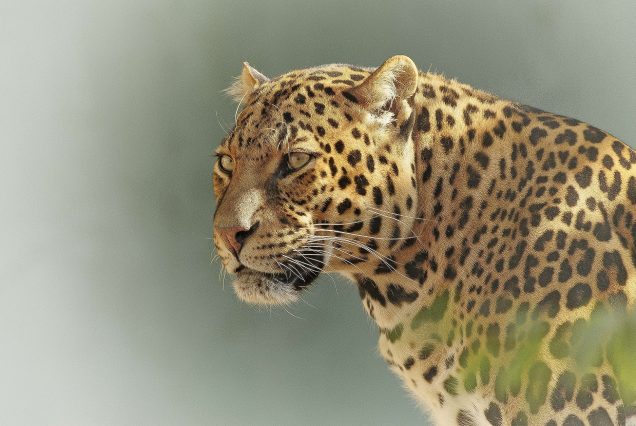 9 Day Tanzania Safari & Culture Adventure