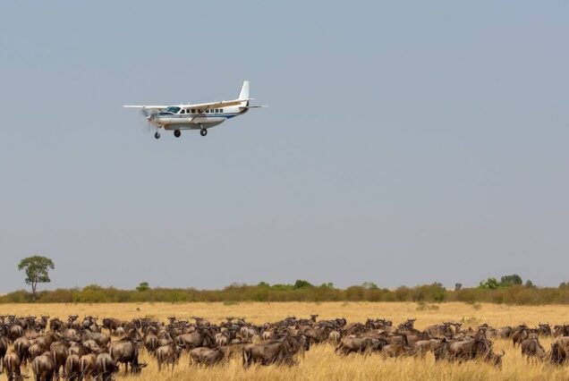 Fly-In Serengeti