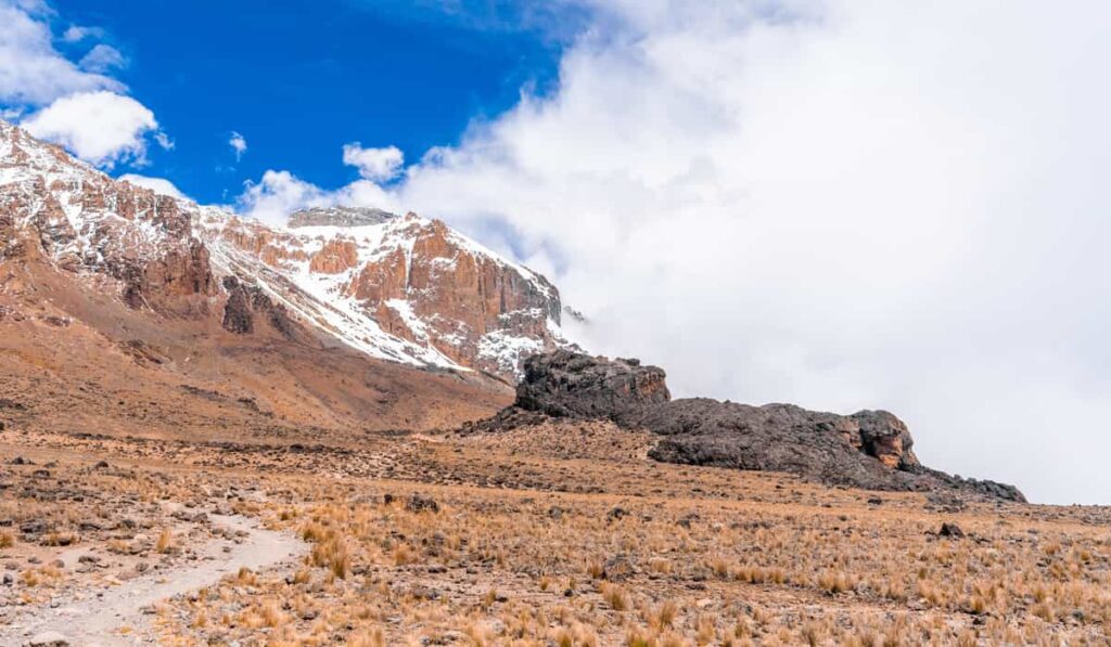 10-Days Wildlife Tracking & Kilimanjaro Day Hiking
