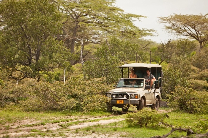 Game drives in Mikumi National Park