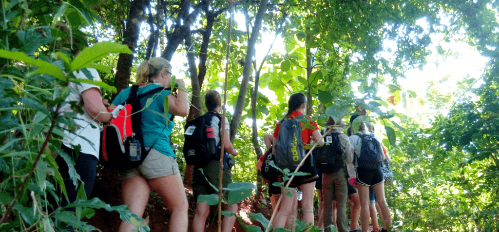 Hiking Udzungwa Mt Wildness Safari Tanzania 1140x530 1