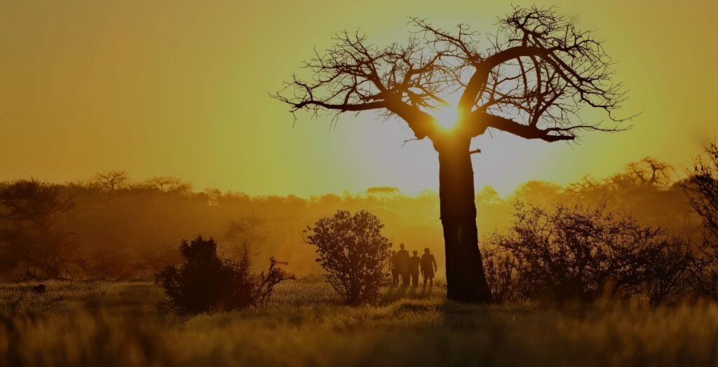 Ruaha NP Tinted Hero