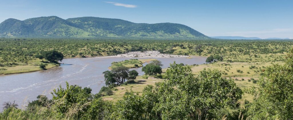 Ruaha National Park Tanzania