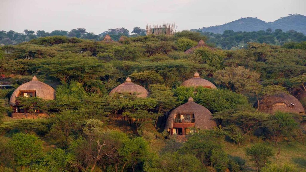 Serengeti Serena Safari Lodge View 1