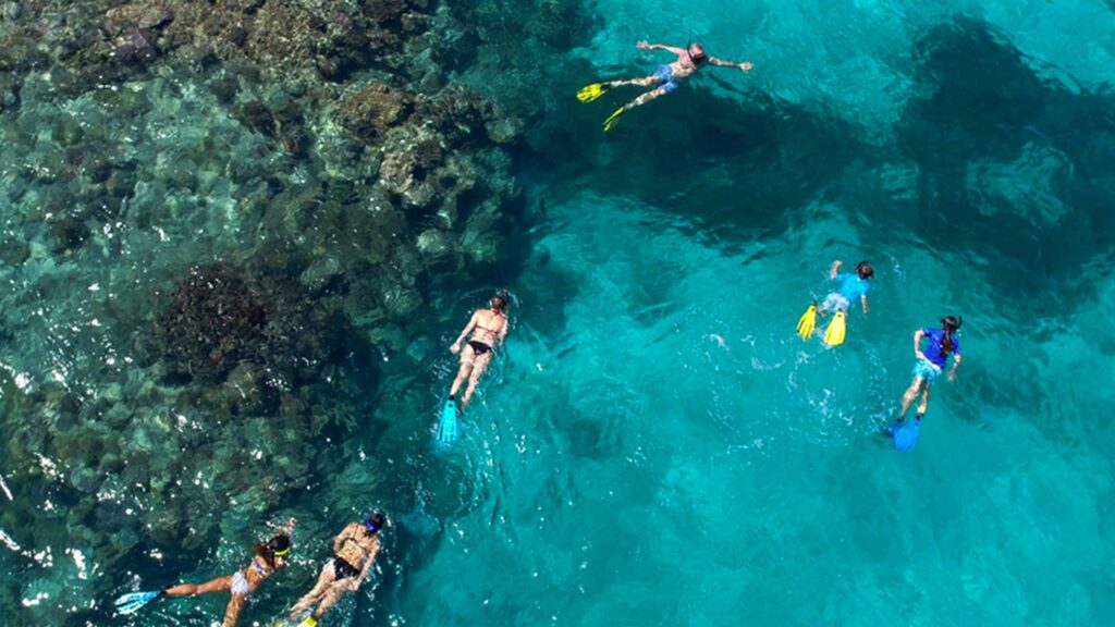 Snorkeling At Chole Bay Coral Gardens 06