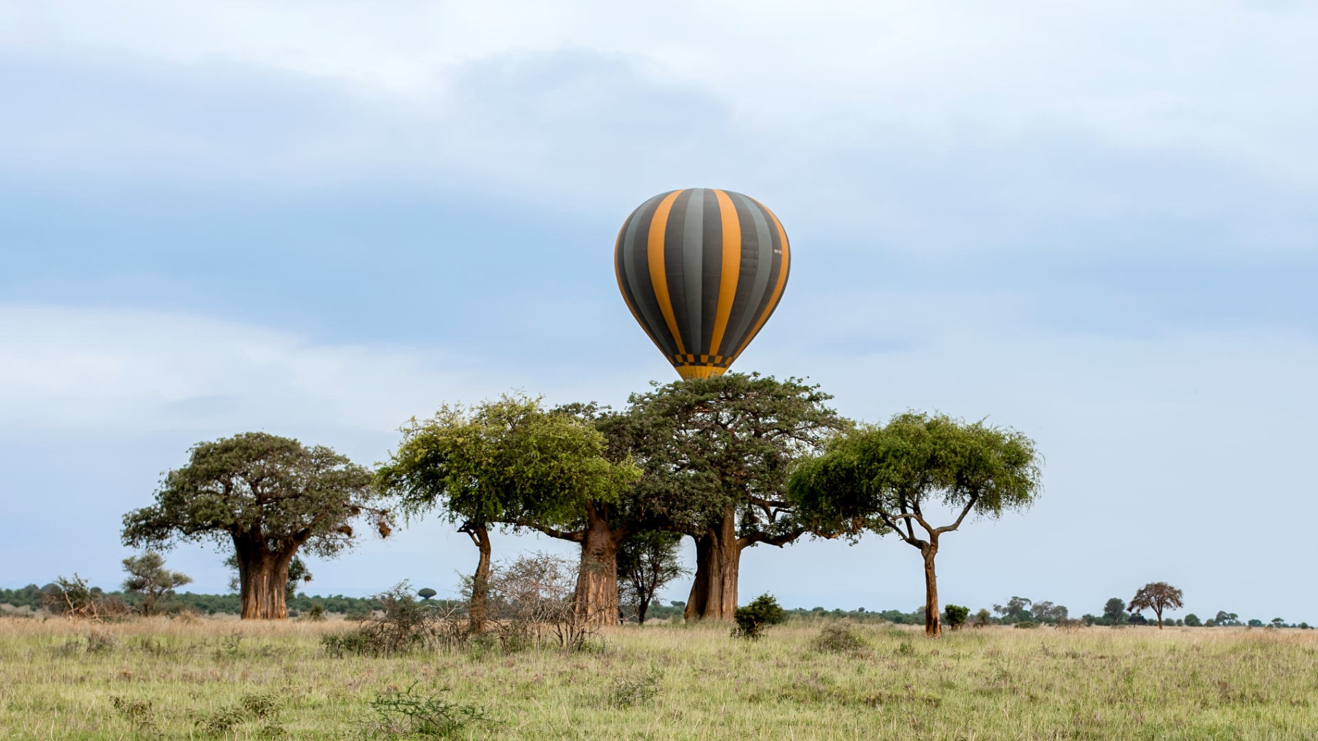 Tarangire 017 min