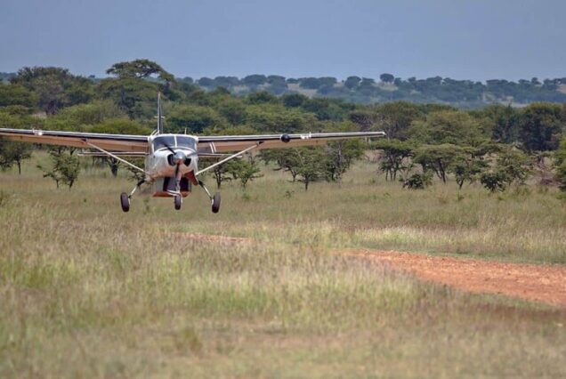 4 days fly-in
