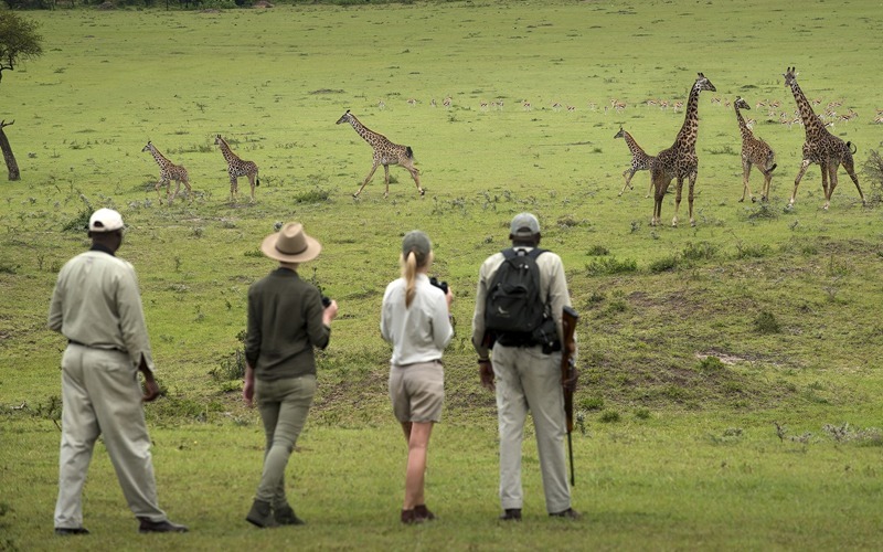 gombe national park 1