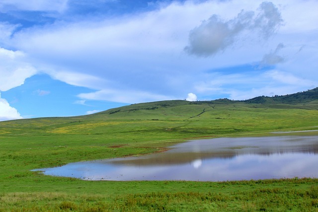 ngorongoro 5205384 640