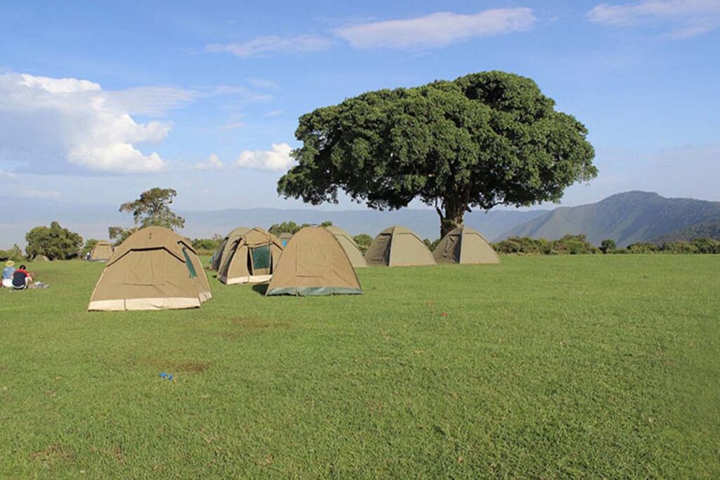 ngorongoro simba campsite guest tents