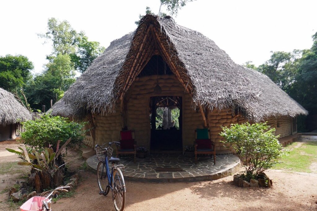 photo1jpg