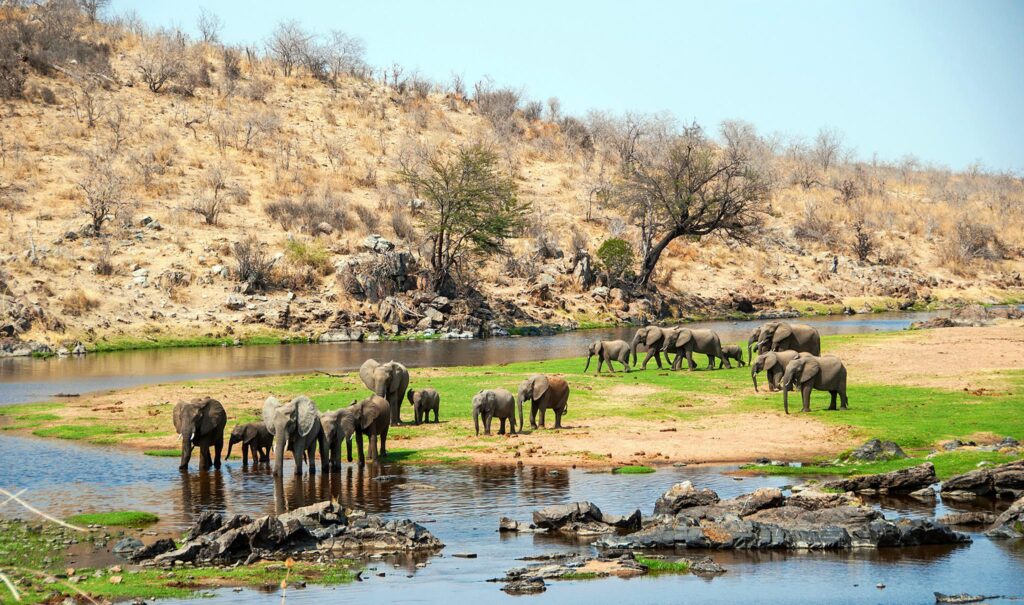 ruaha national park featured