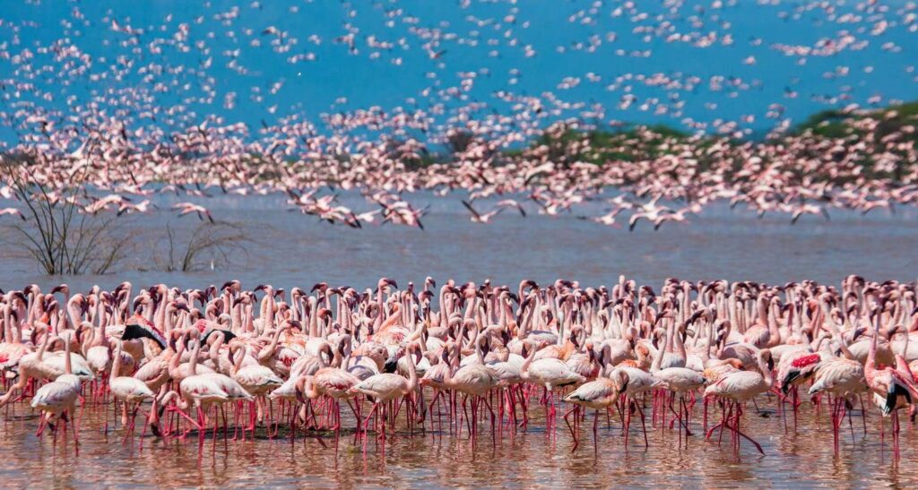 2 days Tarangire