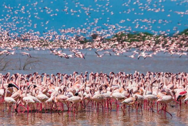 2 days Tarangire