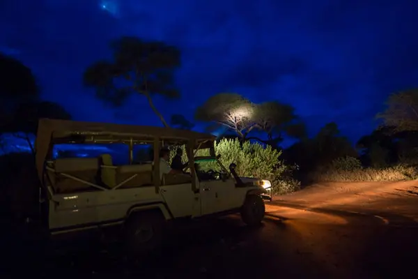 tanzania night game img gal3 1