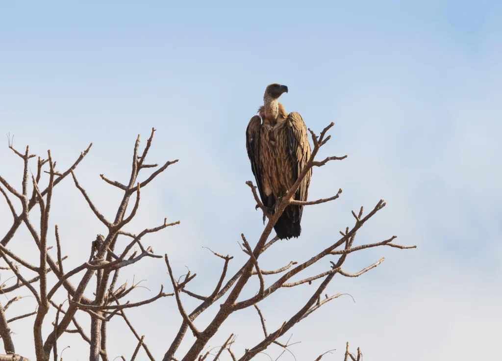 things to do in arusha 4
