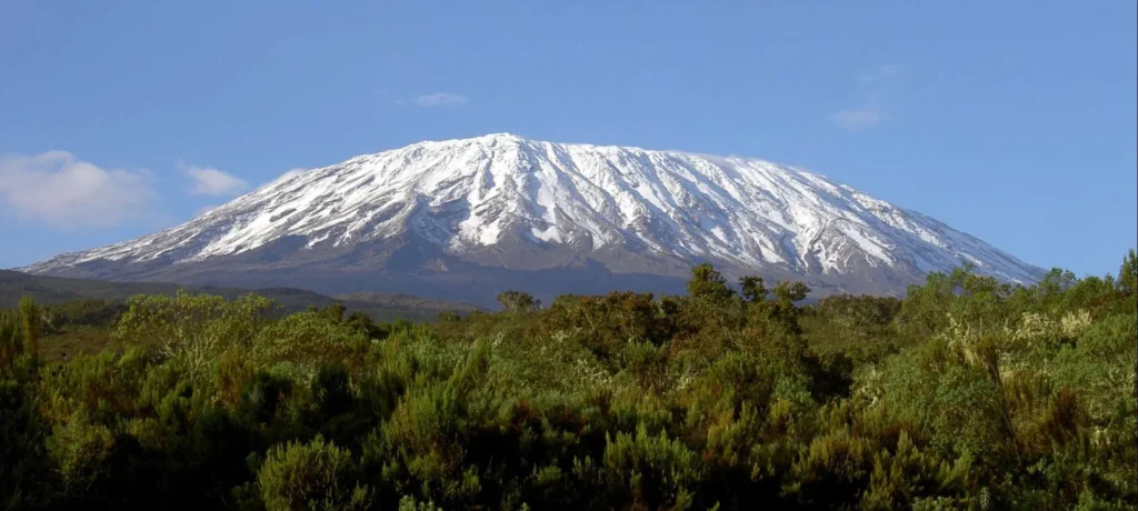zanzi mt kili