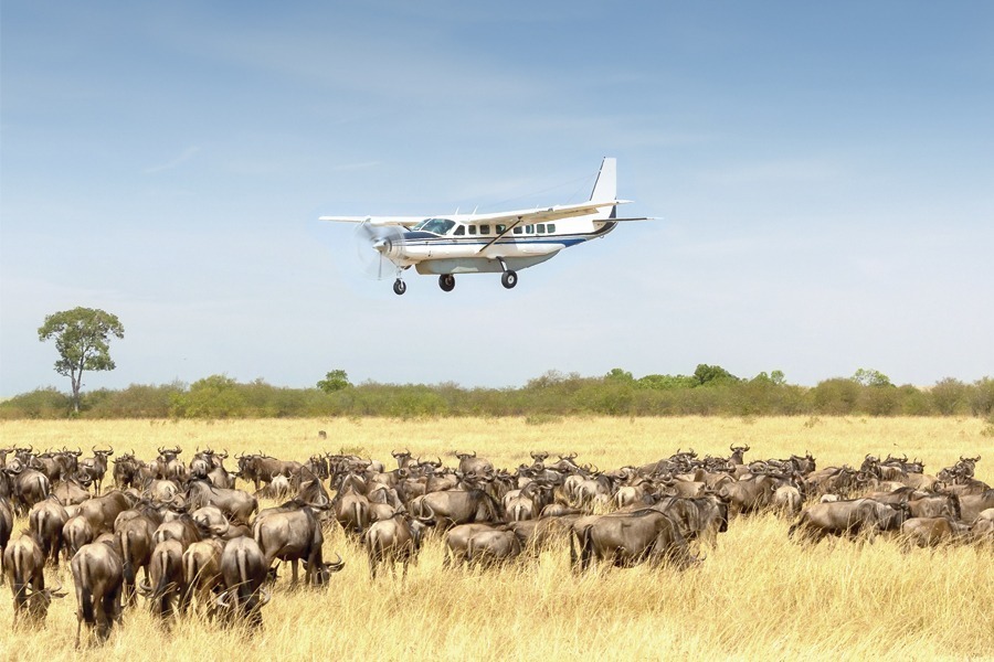 Fly-in Safari Serengeti