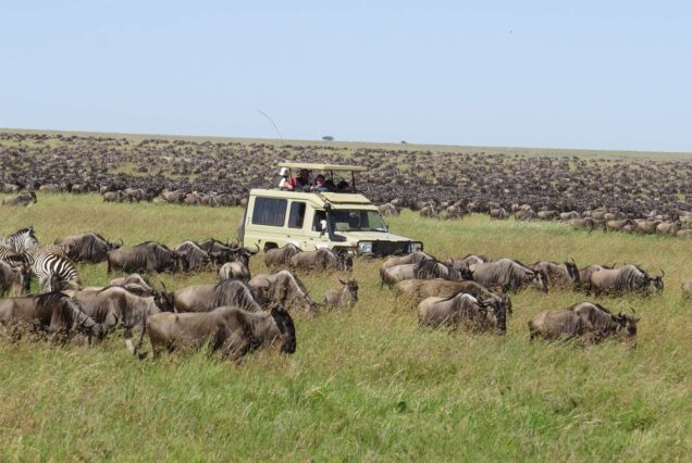 Tanzania y Zanzíbar 11 Días