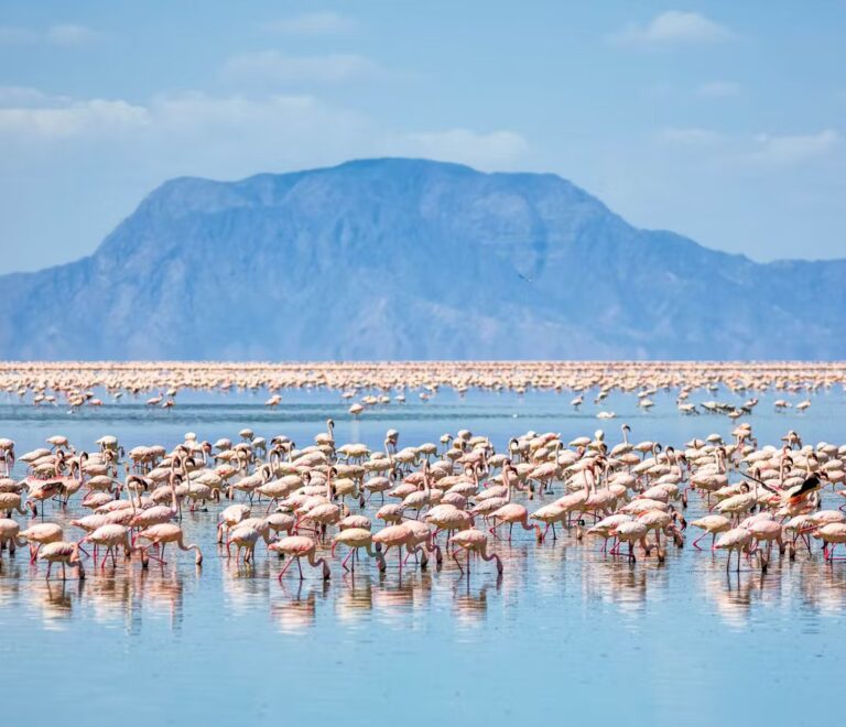 tanzania