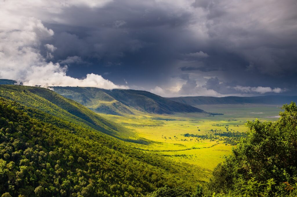 Cráter del Ngorongoro
